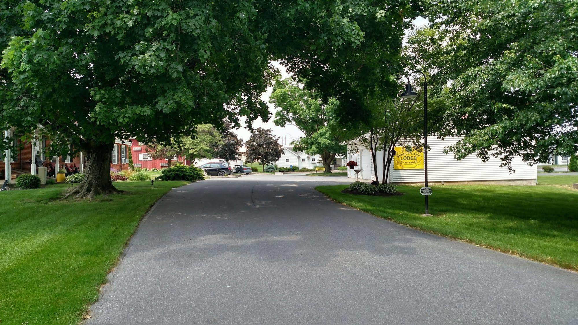 Spruce Lane Lodge&Cottages Smoketown  Esterno foto